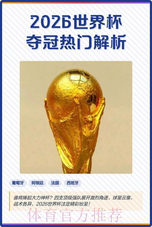 世界杯夺冠热门安全预测